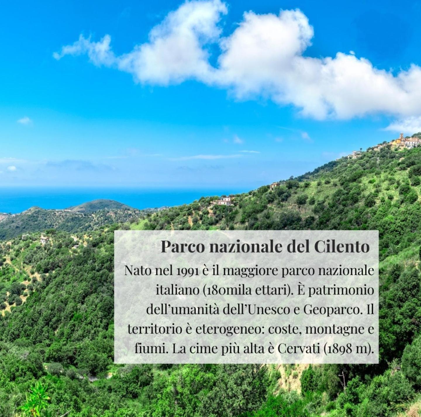 Nennella Cilento House Apartment Cuccaro Vetere Exterior foto
